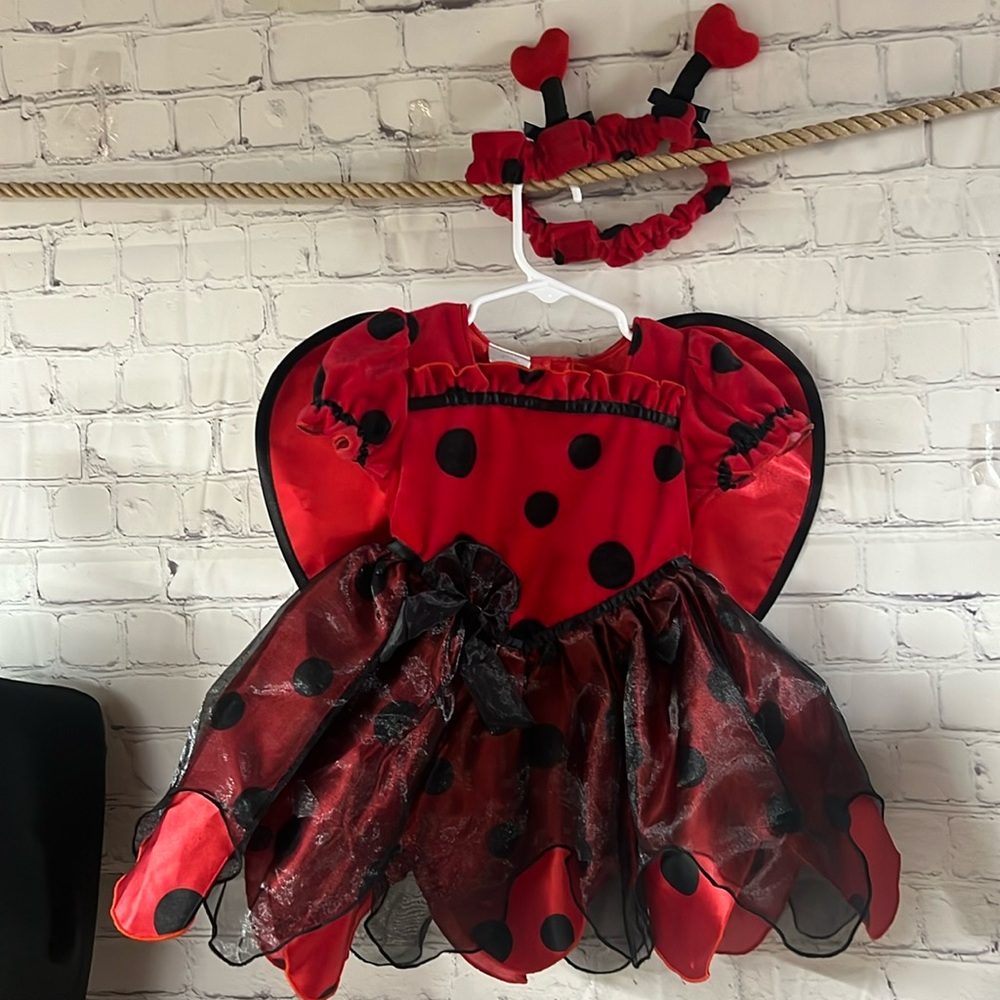 Lady Bug costume. In like new condition. 12-18 months. Velvety top. Tule skirt